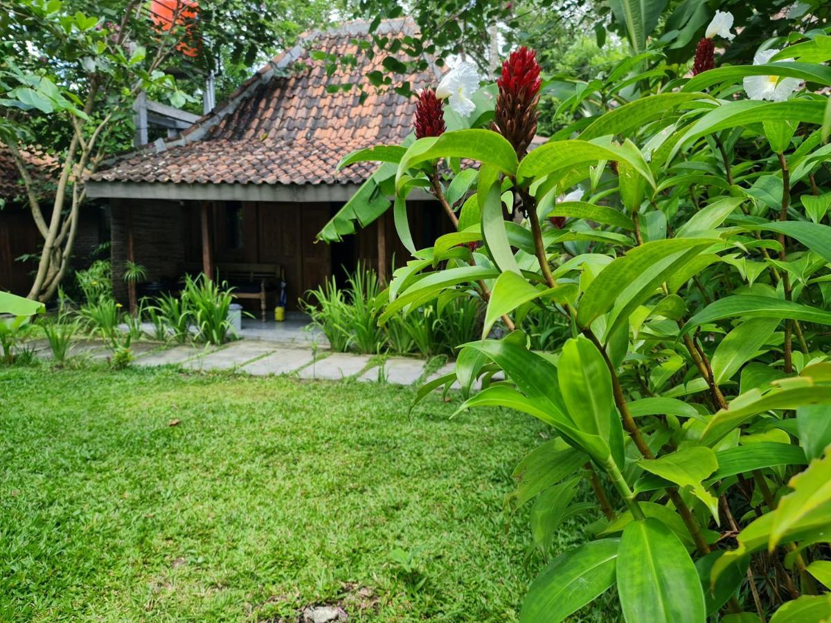 Villa Kayu Yogyakarta Eksteriør billede